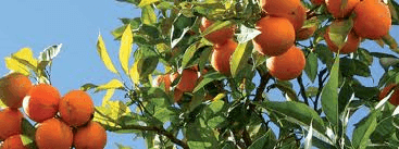 Energiekosten woonzorgcentra: laaghangend fruit